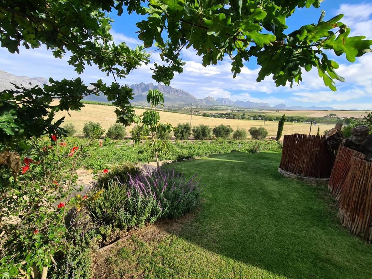 Vineyard Cottage At Bosman Wines Веллингтон Экстерьер фото