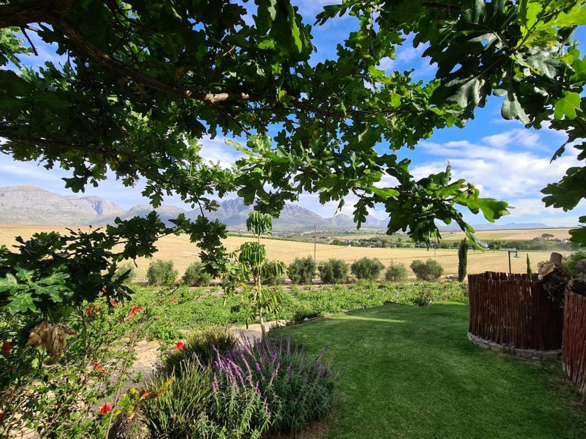 Vineyard Cottage At Bosman Wines Веллингтон Экстерьер фото