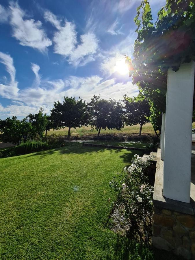 Vineyard Cottage At Bosman Wines Веллингтон Экстерьер фото