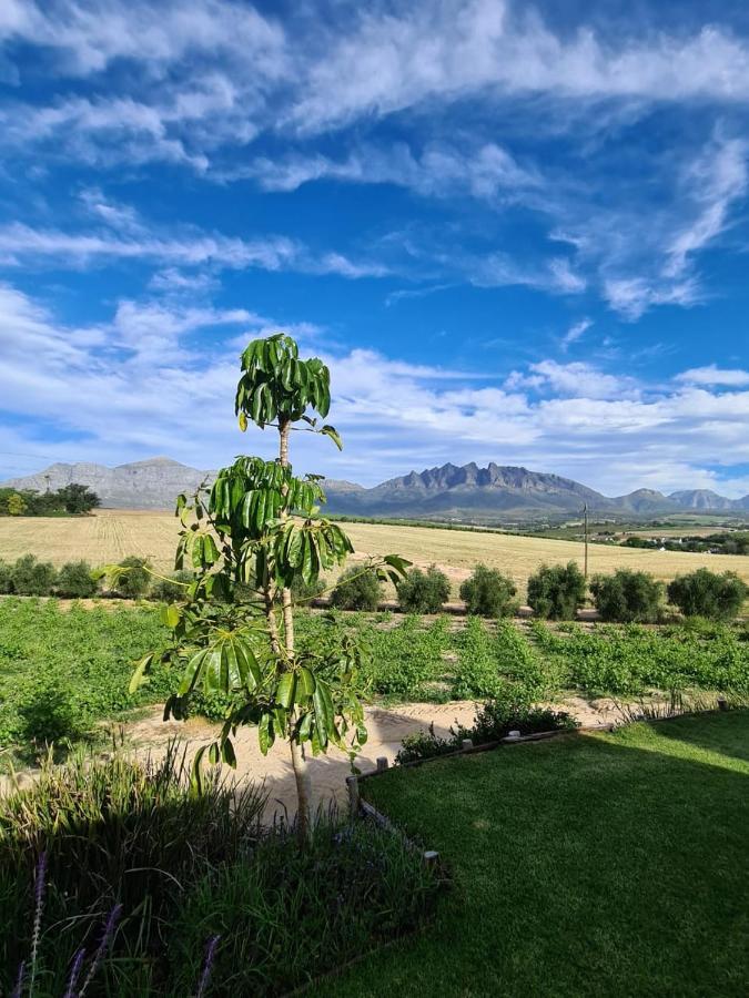 Vineyard Cottage At Bosman Wines Веллингтон Экстерьер фото