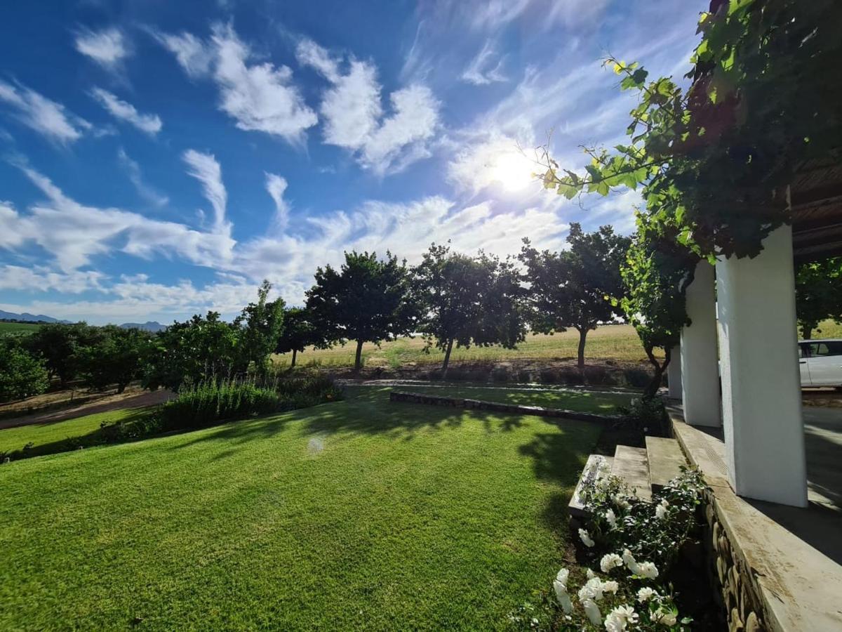 Vineyard Cottage At Bosman Wines Веллингтон Экстерьер фото