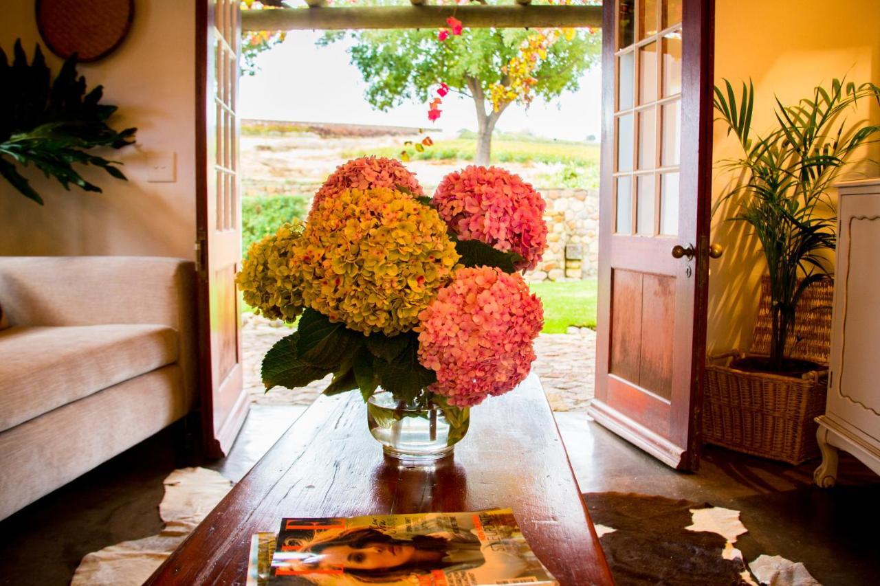 Vineyard Cottage At Bosman Wines Веллингтон Экстерьер фото