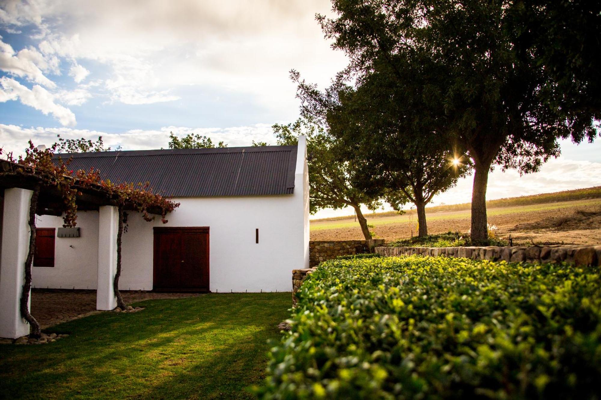 Vineyard Cottage At Bosman Wines Веллингтон Экстерьер фото