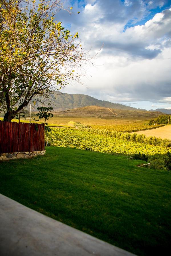 Vineyard Cottage At Bosman Wines Веллингтон Экстерьер фото